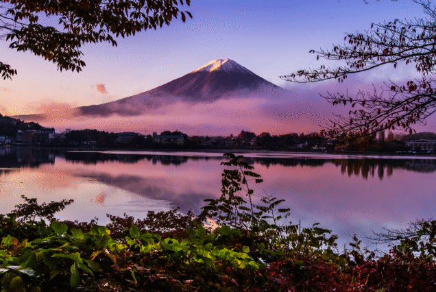 Japan November 8N/9D